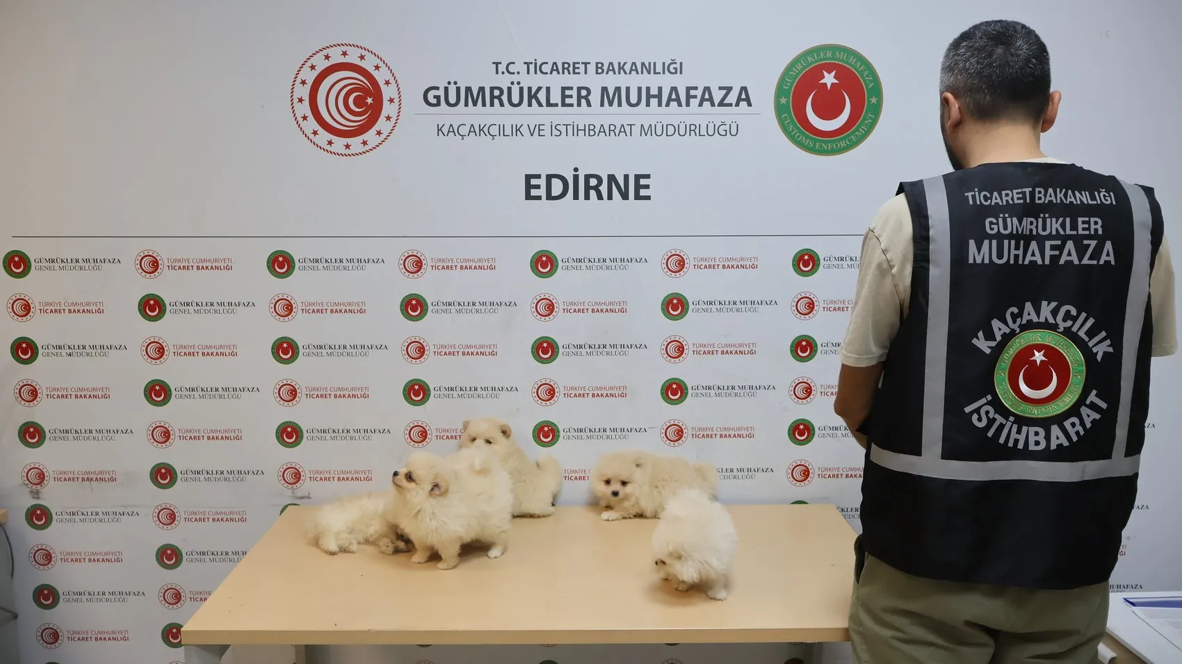 Kapıkule sınırında kaçak köpek operasyonu