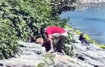 Avcılar sahilinde köpeğe şiddet anları kameraya yansıdı