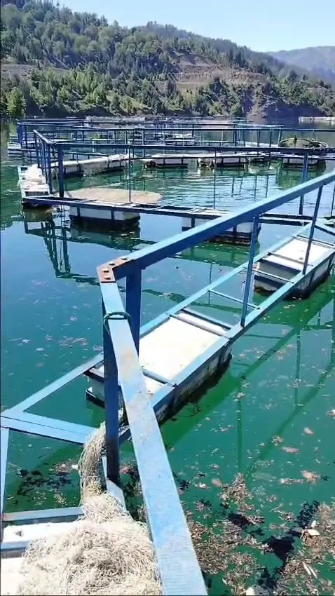 Ispartalı balıkçı 6 yumurta için kazancından vazgeçti