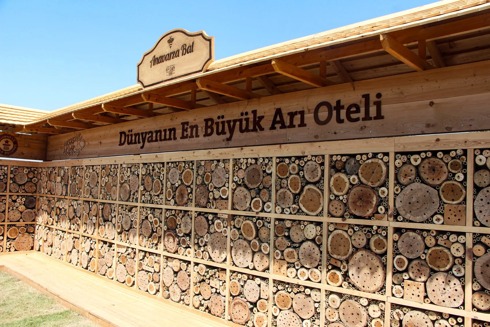 Adana'da arılar için devasa beş yıldızlı otel kuruldu