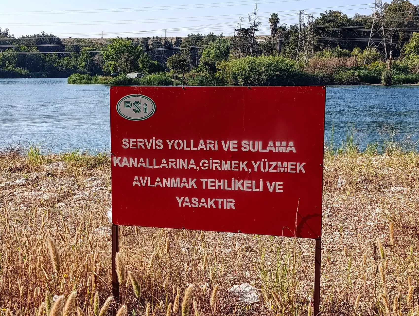 Adana'da nehre giren 17 yaşındaki genç hayatını kaybetti