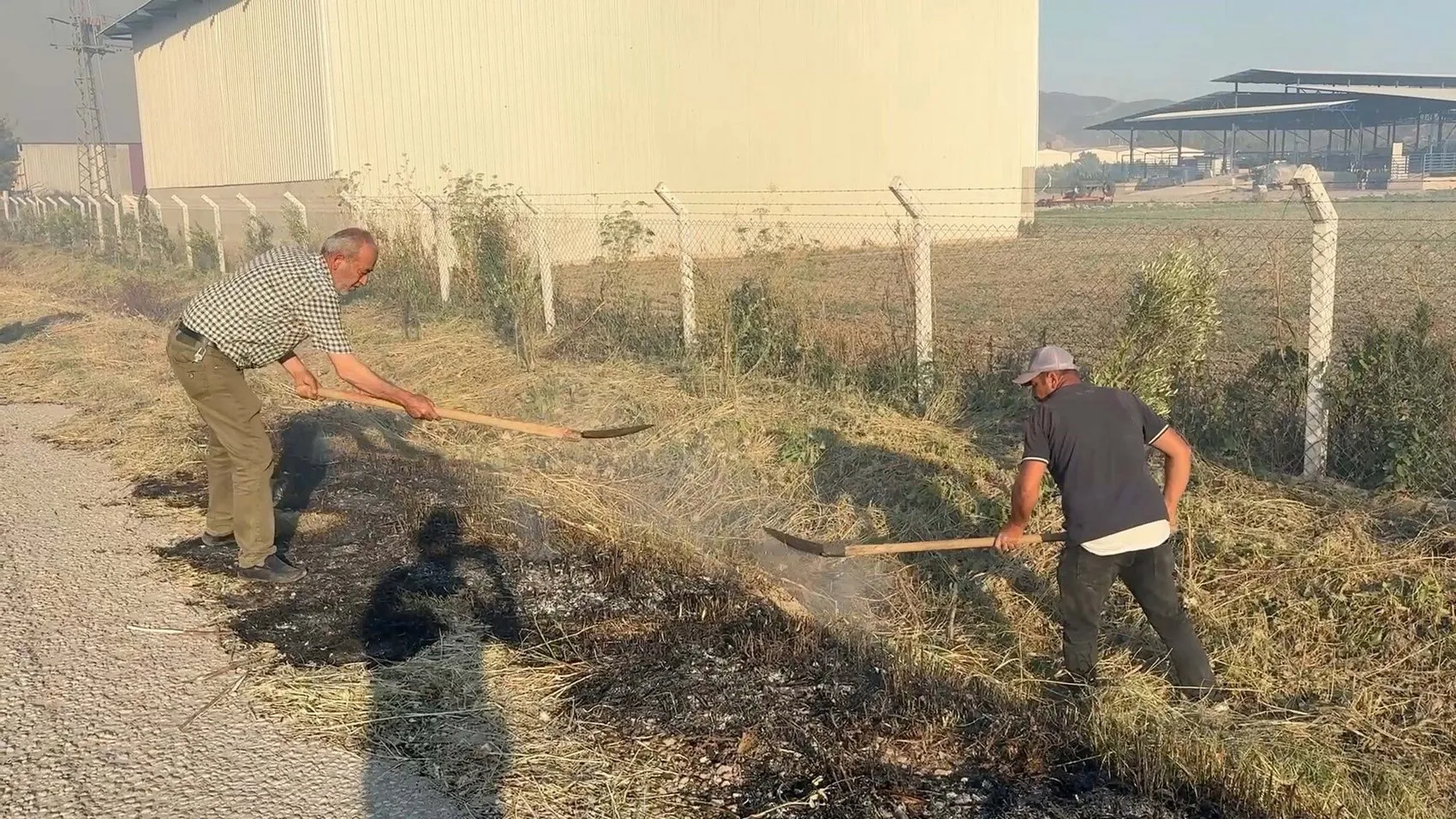 Aydın Efeler'de 35 dönüm buğday tarlası küle döndü