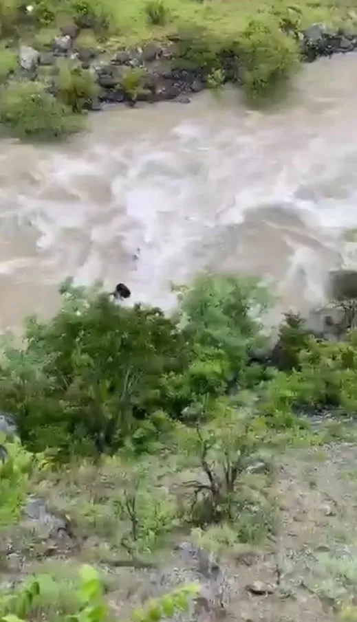 Artvin’de Çoruh Nehri’ne uçan otomobilden acı haber