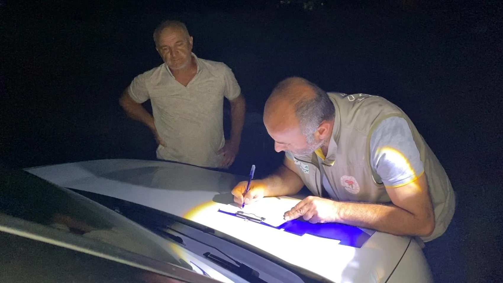 İnegöl’de yıldırım sürüyü vurdu 6 koyun telef oldu