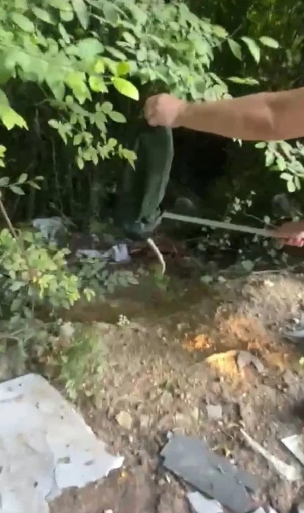 Hendek'te otomobilin kaputuna giren davetsiz misafir