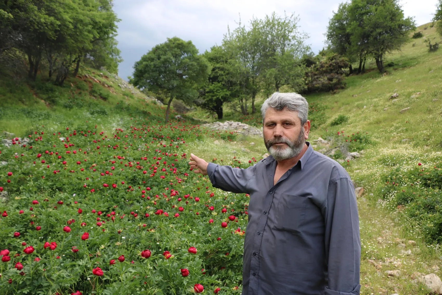 Bir çiçeği koparmanın bedeli 700 bin liraya yaklaşıyor