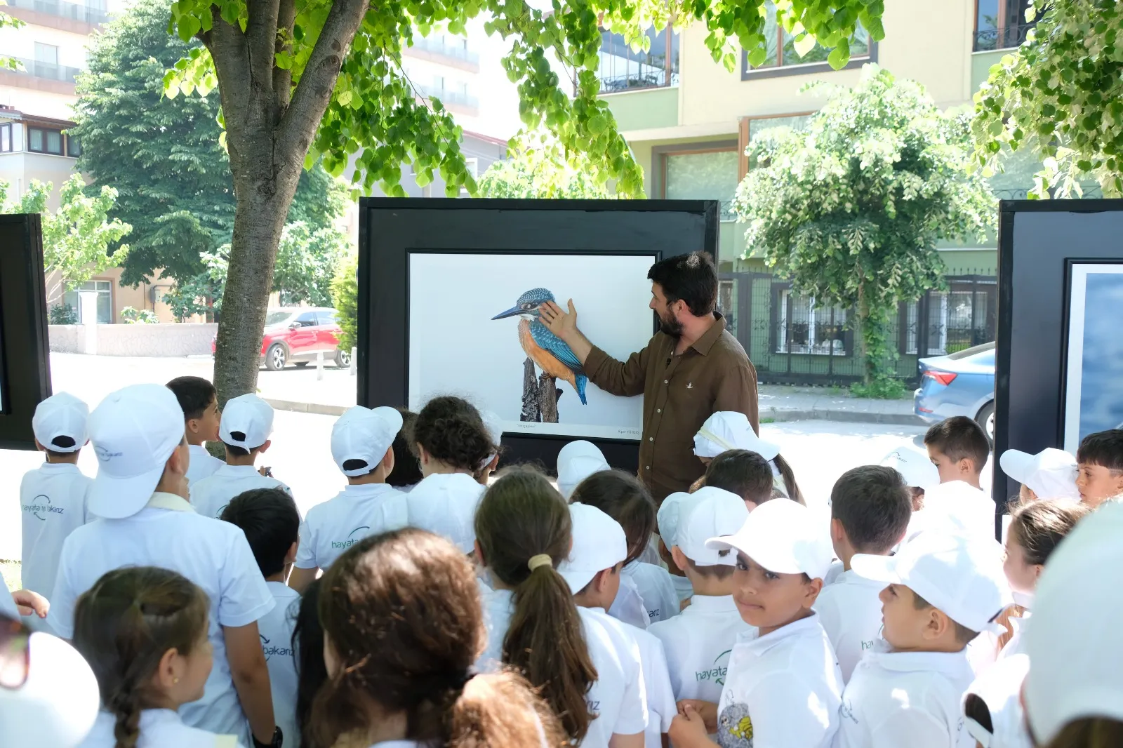 Kocaeli Körfezi’nde saklı kalmış doğayı fotoğraflarla keşfedin