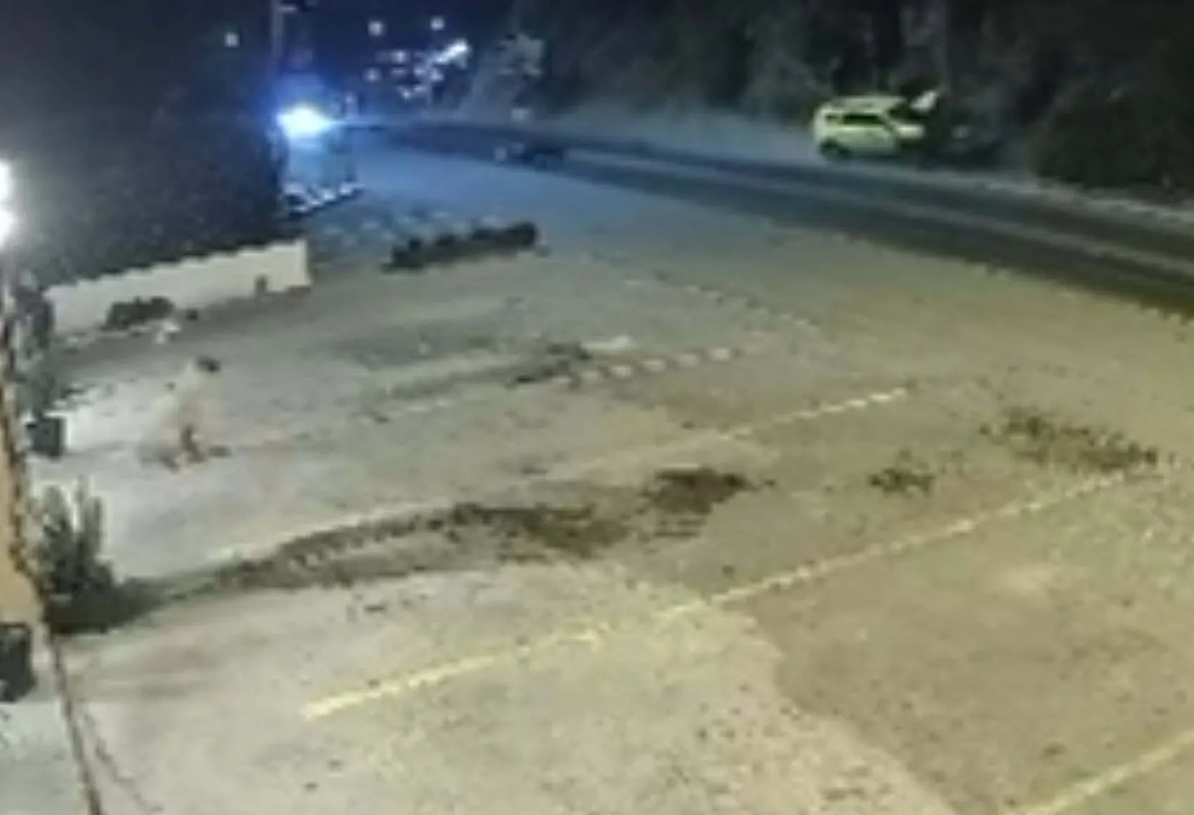 Bodrum’da motosiklet kazasında ikinci acı haber geldi