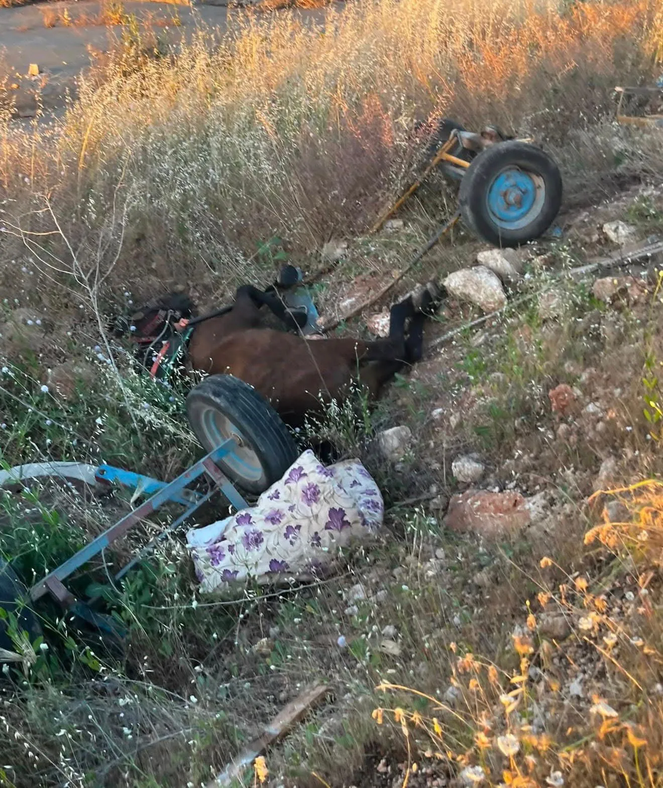 Halfeti'de kaçak sürücü at arabasına çarptı 1 ölü