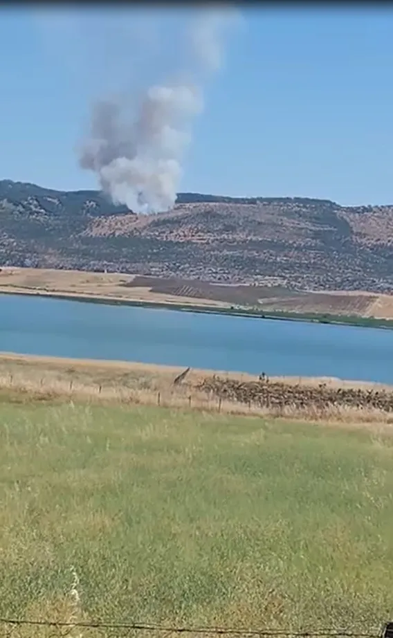 Silvan'da orman yangını ekipleri harekete geçirdi