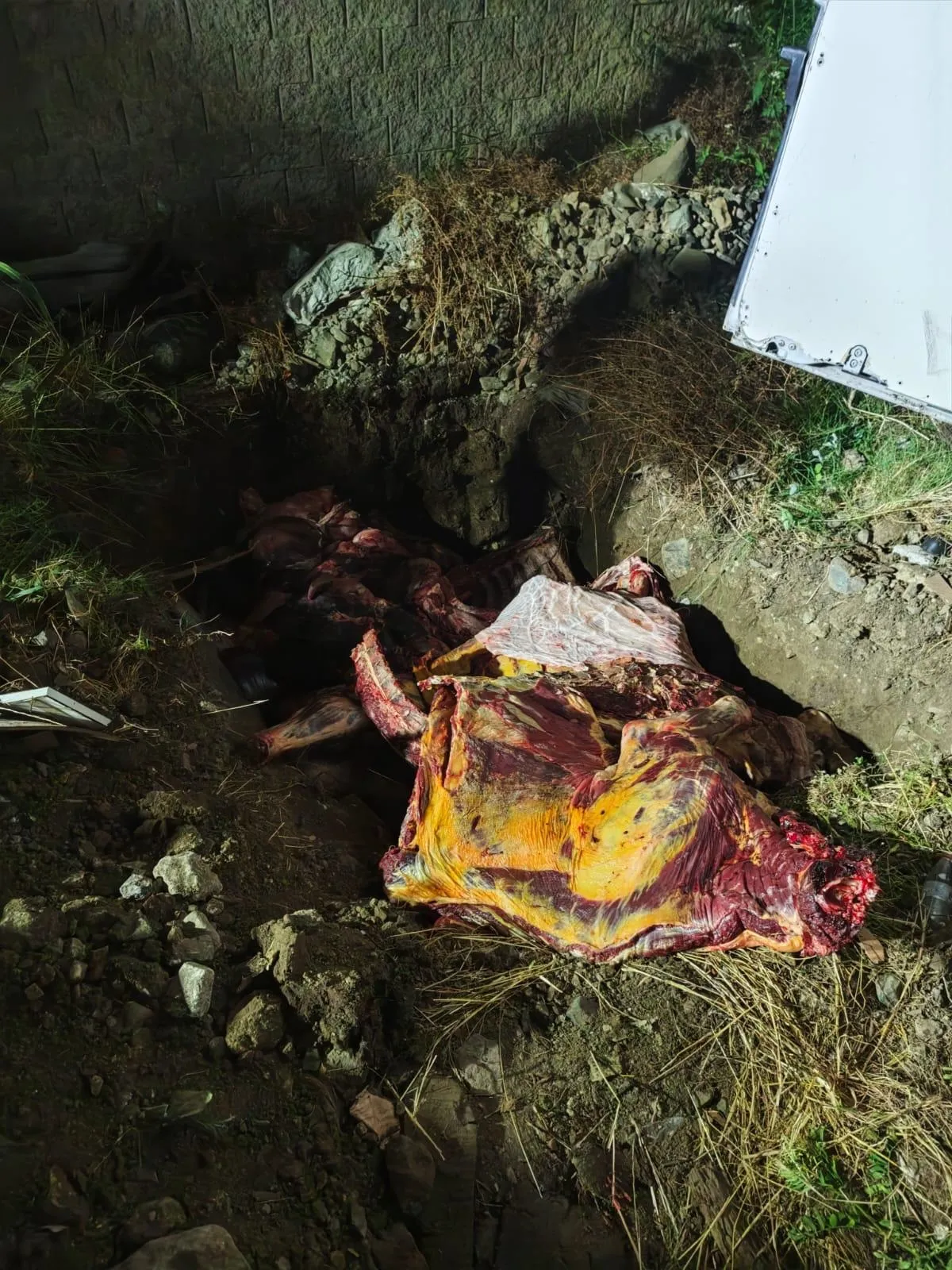 Sakarya yolunda yakalanan 1,8 ton kaçak ete imha kararı