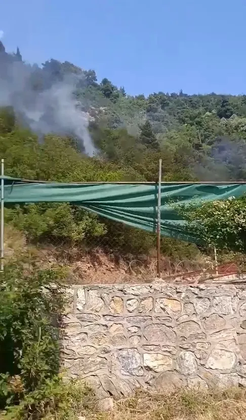 Bursa Osmangazi ormanlık alanında yangın paniği