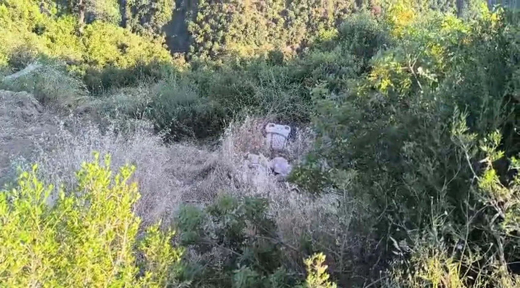 Manisa'da tarlada can pazarı Traktör kazası kamerada