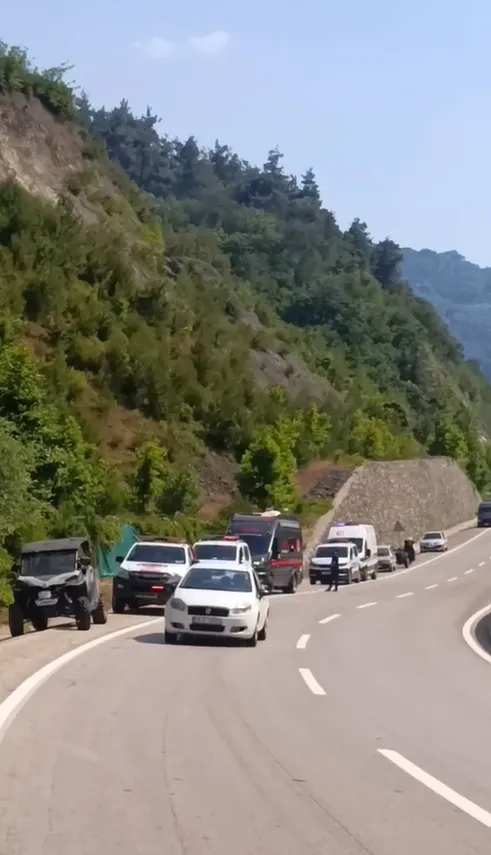Bursa Osmangazi ormanlık alanında yangın paniği