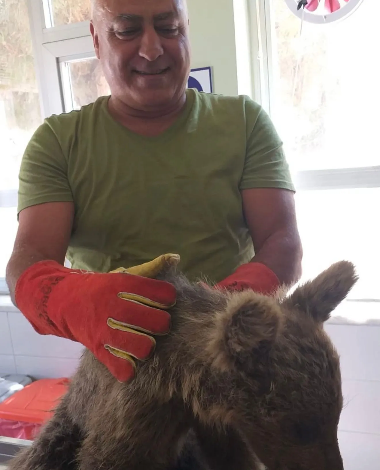Tunceli'de mantar toplamaya giden orman görevlisi dağda hayatını kaybetti