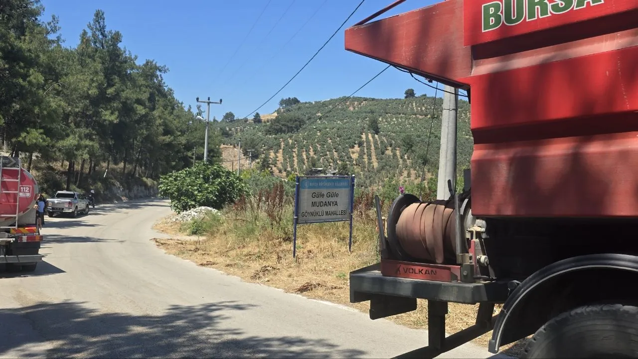 Mudanya'da bahçede yakılan çöpler 4 dönüm alanı küle çevirdi