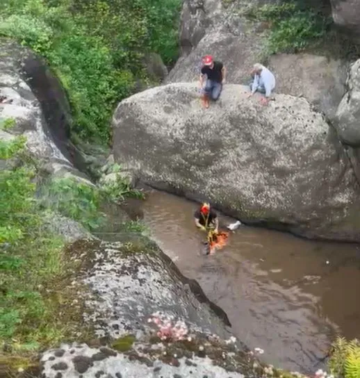 Samsun'da kayalıkta mahsur kalan düveler için seferberlik