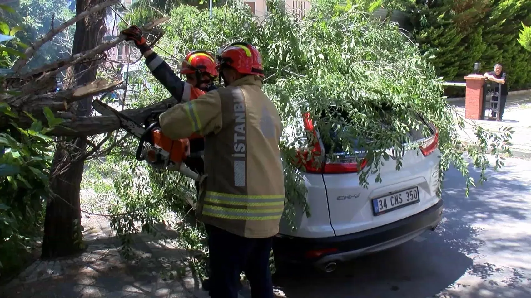 Kozyatağı’nda park halindeki aracın üzerine ağaç dalı devrildi