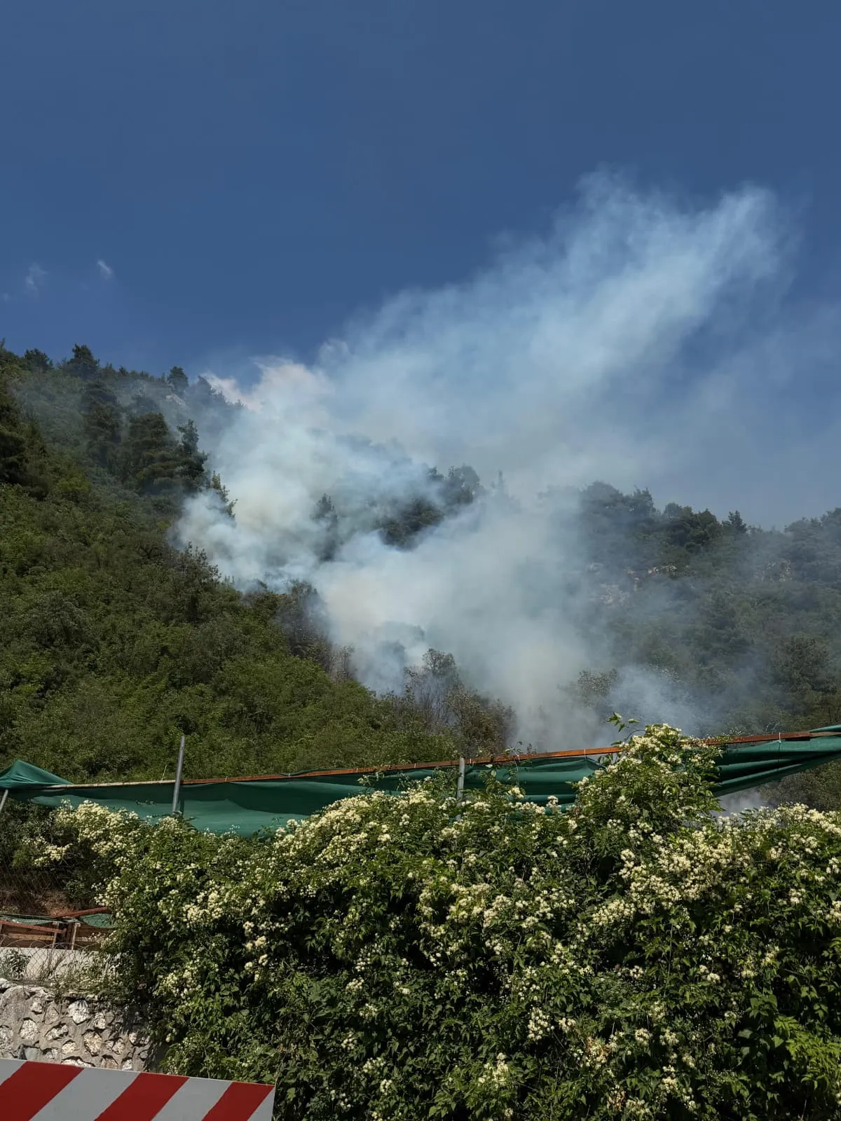 Bursa Osmangazi orman yangınıyla mücadele ediyor