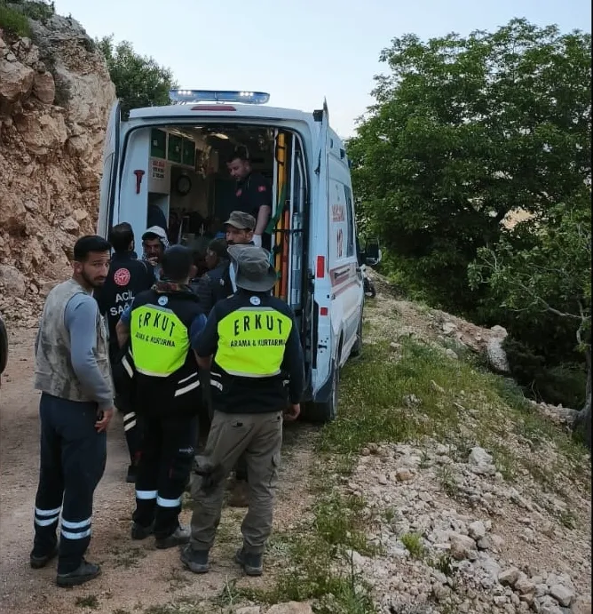 Siirt'te sarp arazide mahsur kalan kadın katırla kurtarıldı