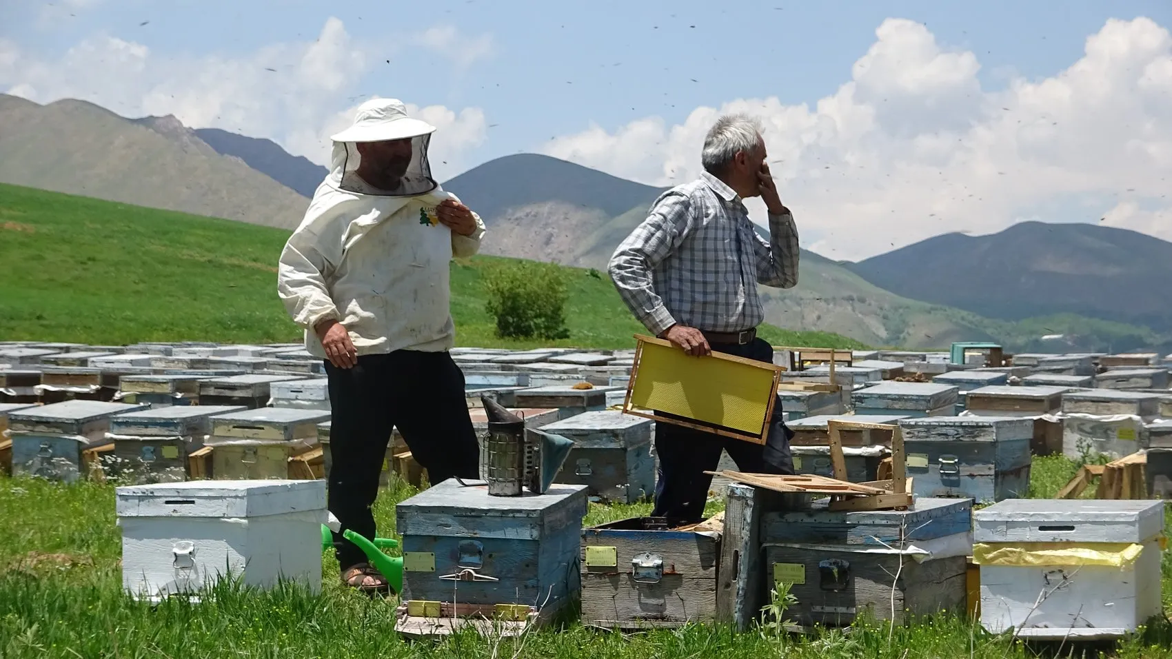 Bodrumdan Hakkari yaylalarına uzanan bal hasadı