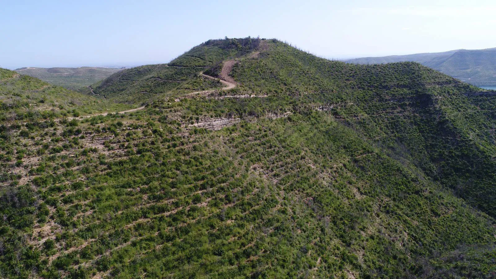 Manavgat ormanları beş yıl sonra yeniden yeşillendi