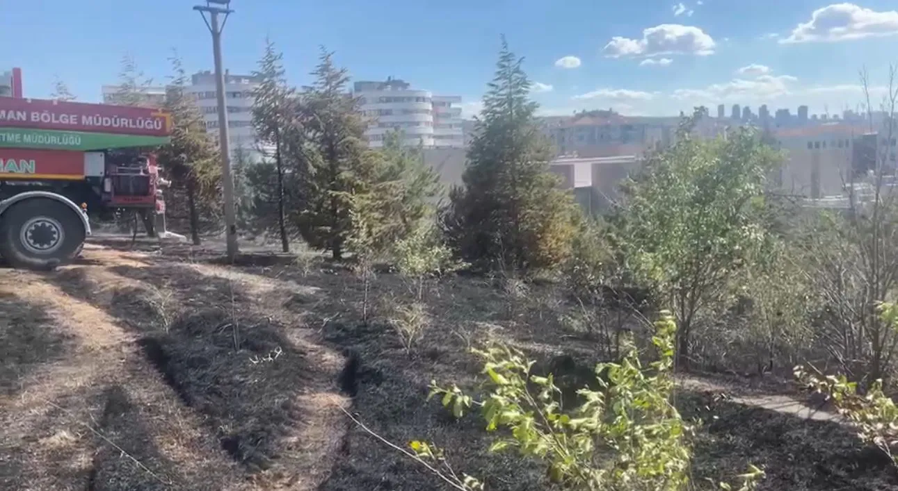 ODTÜ ormanında korkutan yangın büyümeden durduruldu