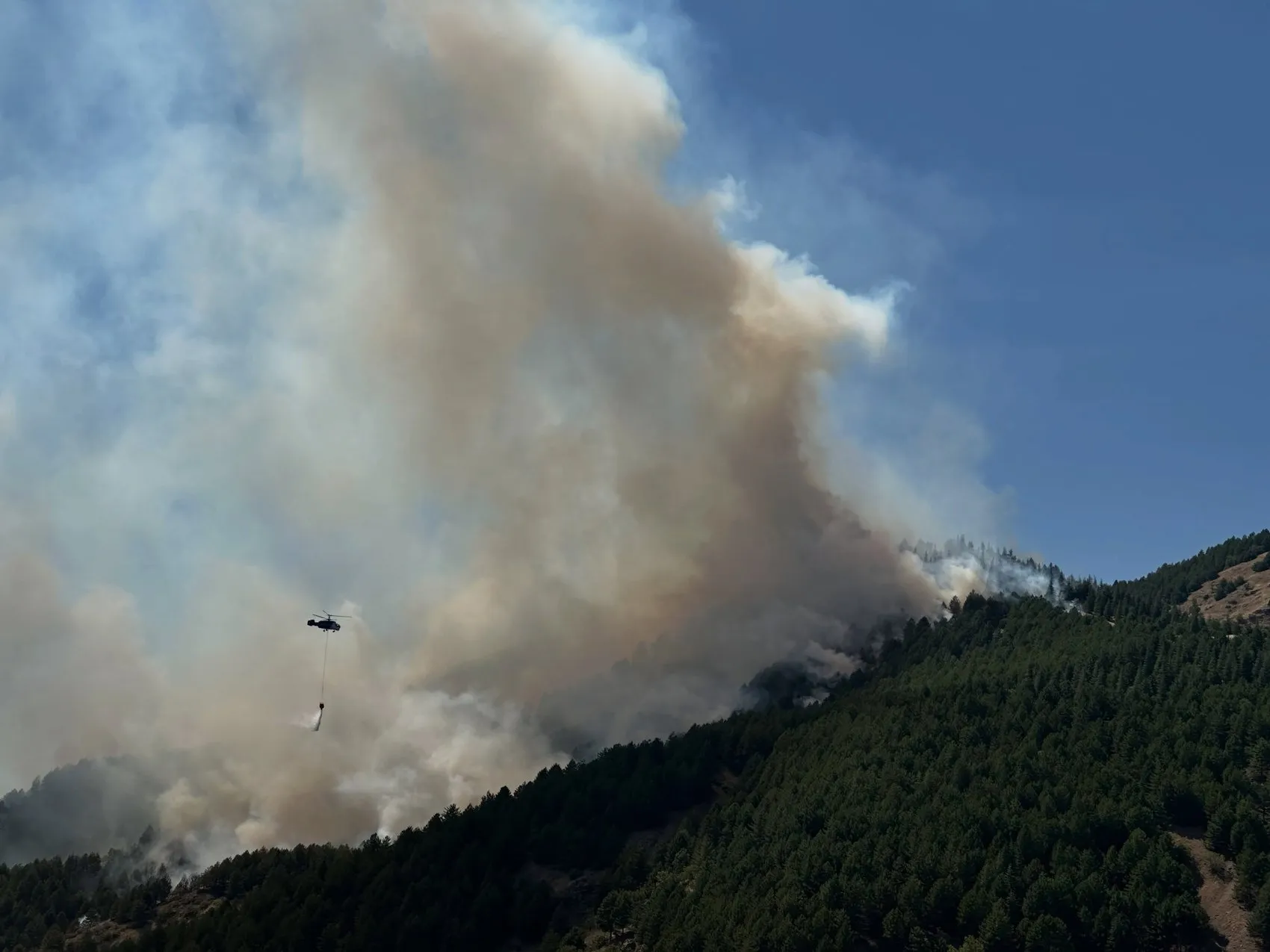 Adıyaman Sincik’te orman yangını paniği