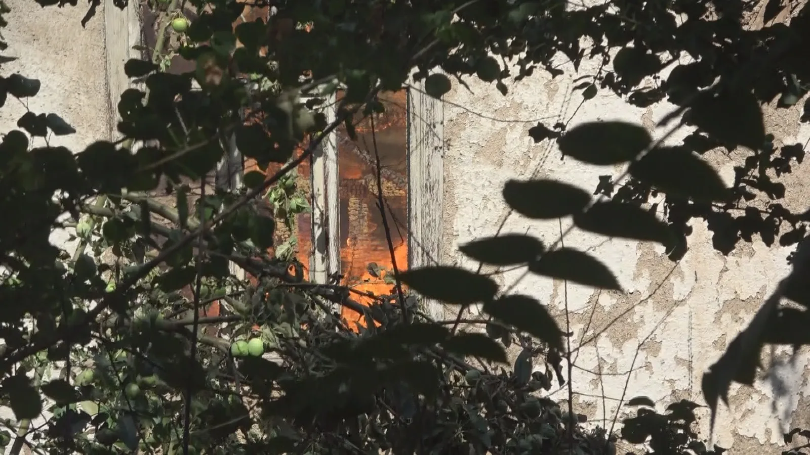 Amasya'da ahşap ev küle döndü, görme engelli kadın son anda kurtarıldı
