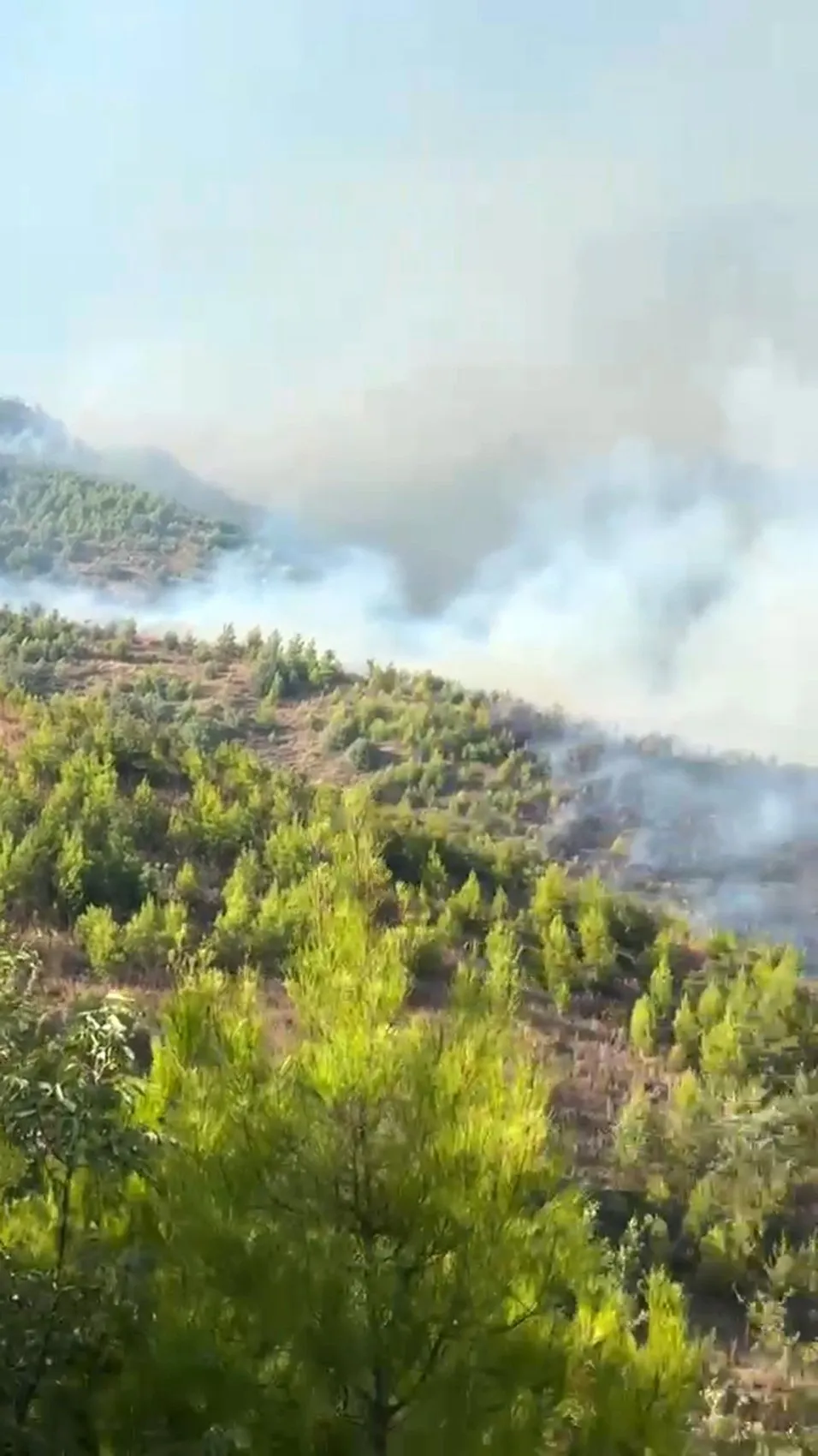 Alanya Sapadere'de orman yangını paniği