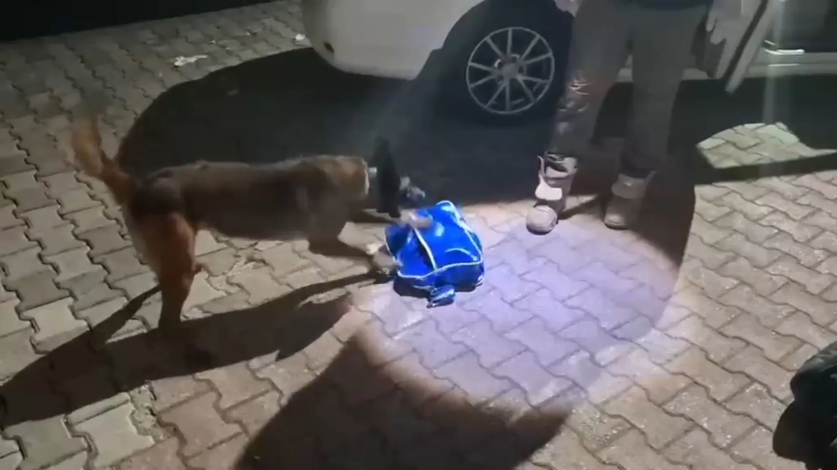 Kuzey Marmara Otoyolu'nda uyuşturucu sevkiyatına suçüstü