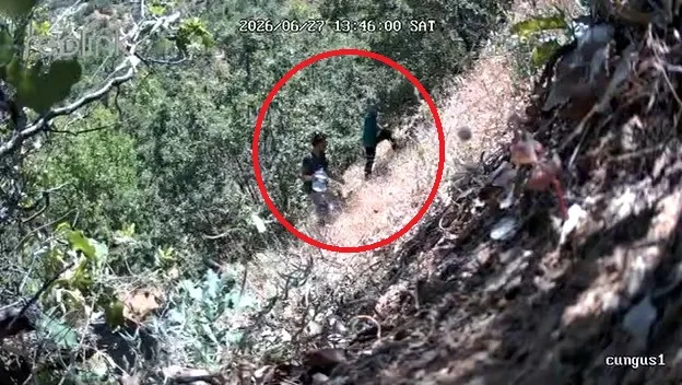 Diyarbakırda siyasetçinin kenevir mesaisi fotokapana takıldı