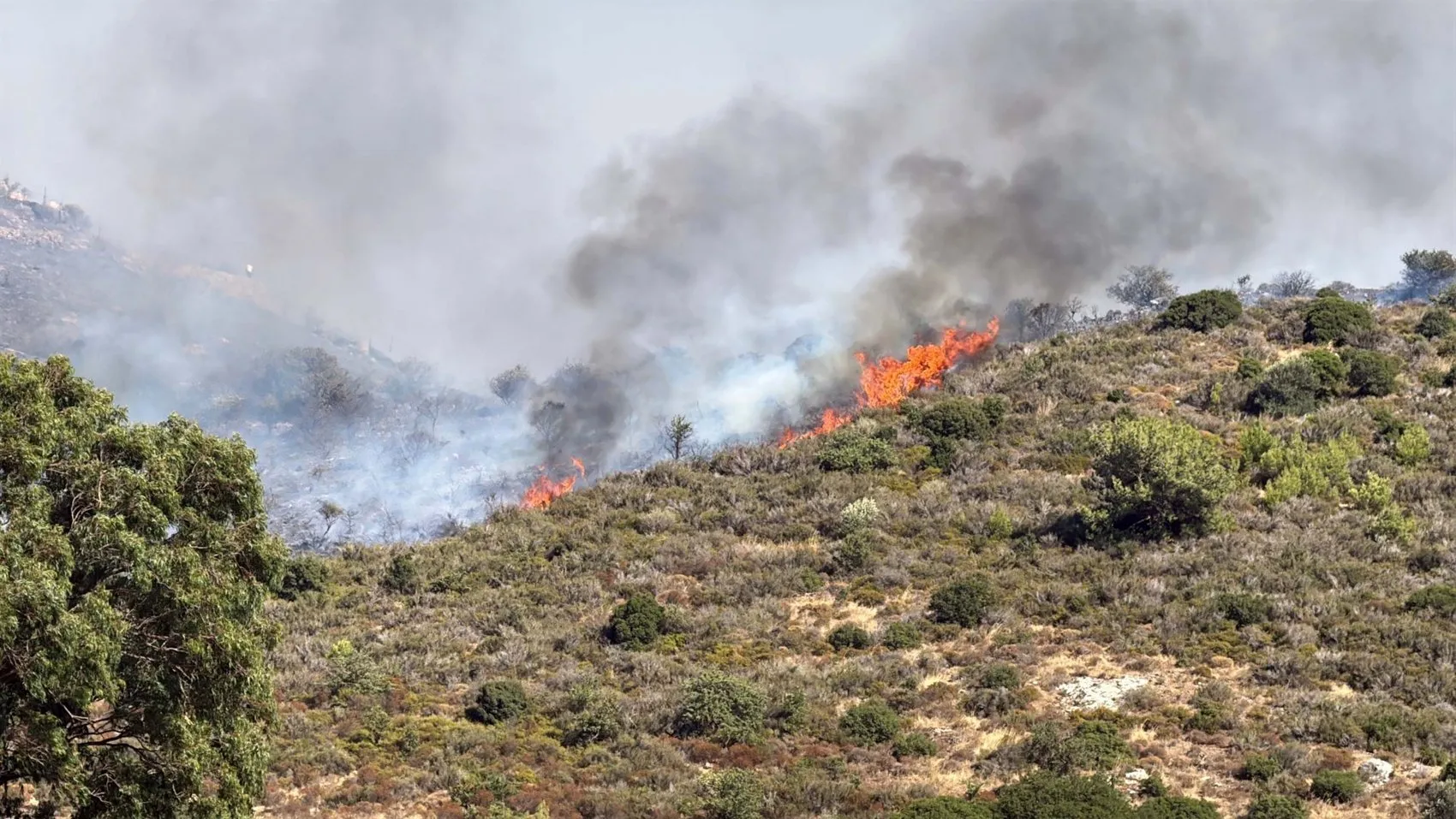 Bodrum’da makilik alanda yükselen alevlere havadan ve karadan müdahale sürüyor