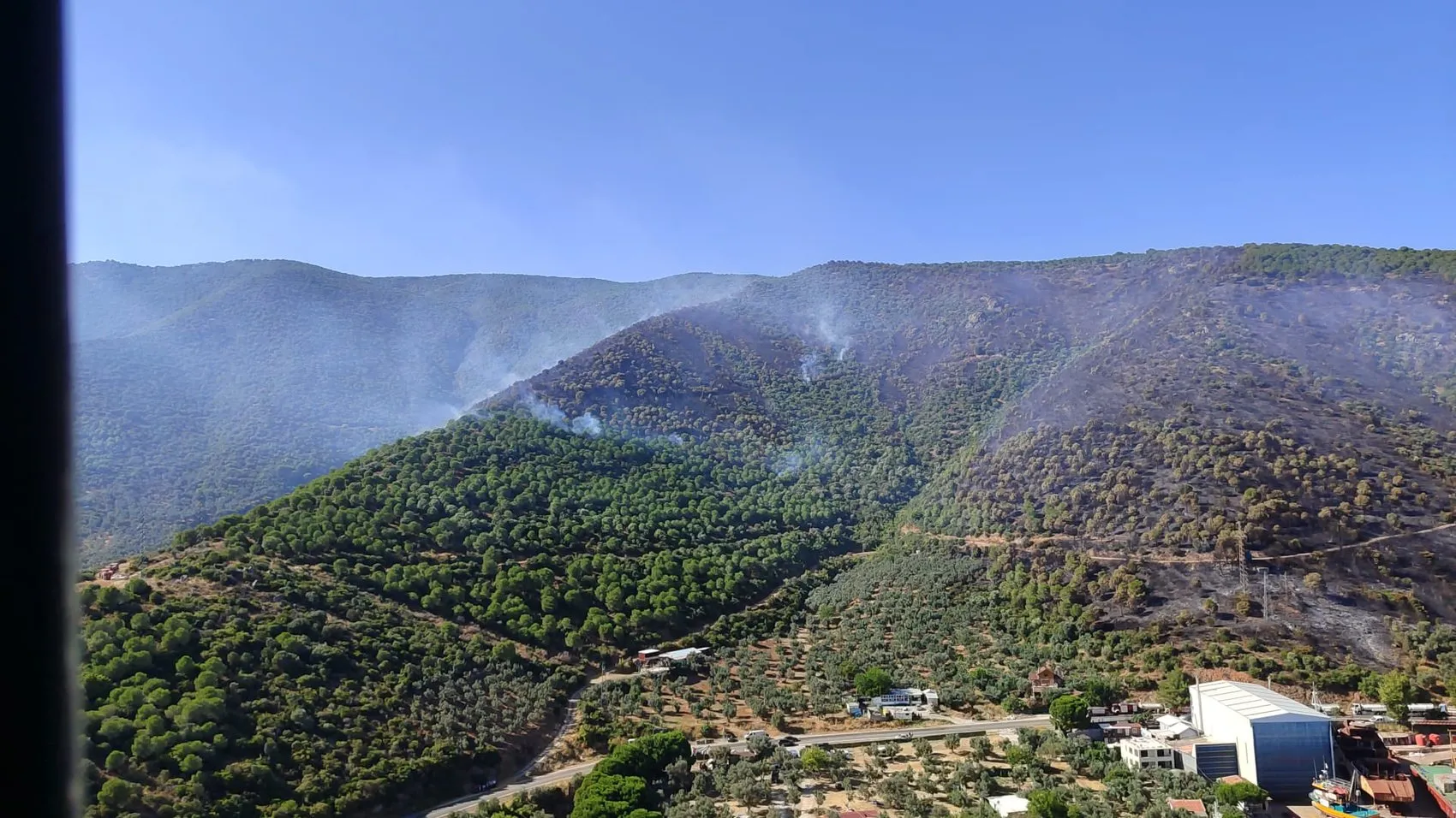 Yalova ormanlarında çıkan yangın ekipleri harekete geçirdi