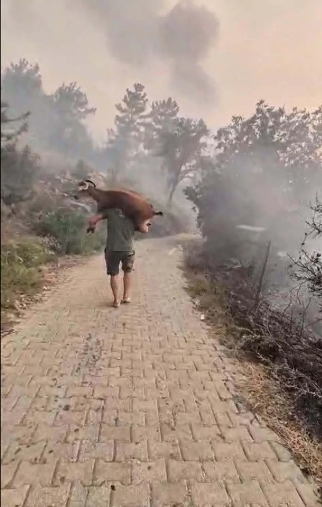 Seydikemer yangınında duygulandıran kurtarma anları