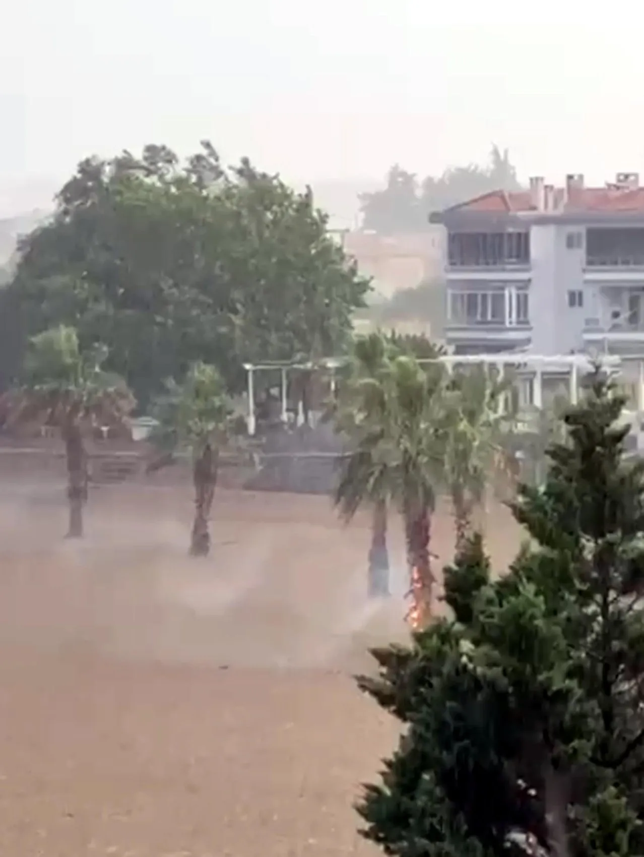 Tekirdağ'da palmiye ağacına yıldırım düşme anı kameraya yansıdı