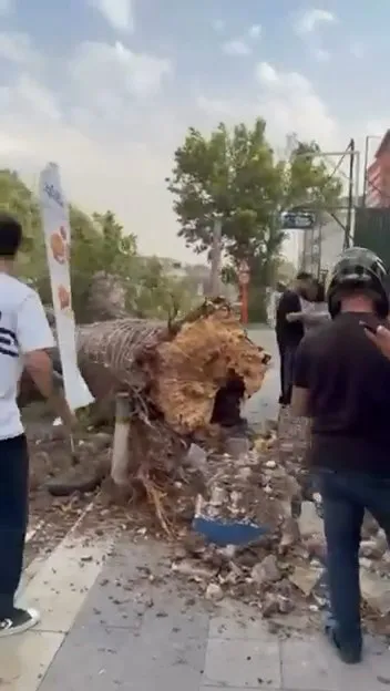 Beykoz'da fırtına bir aracı kullanılamaz hale getirdi
