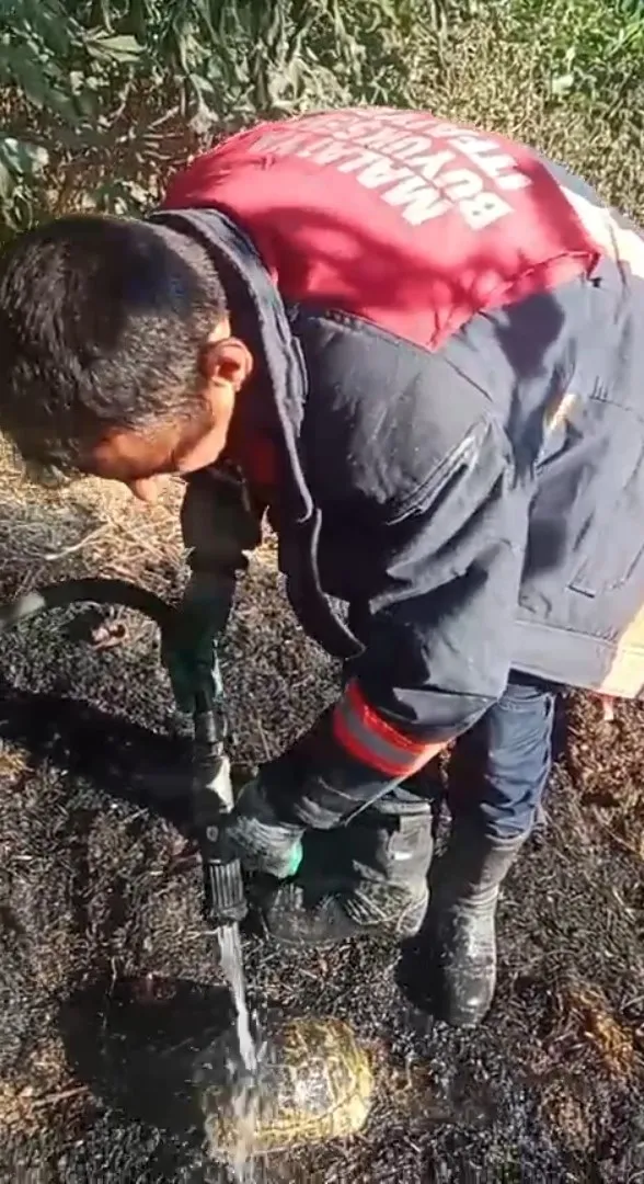 Malatya Pütürge'de ev yangını ormana sıçradı