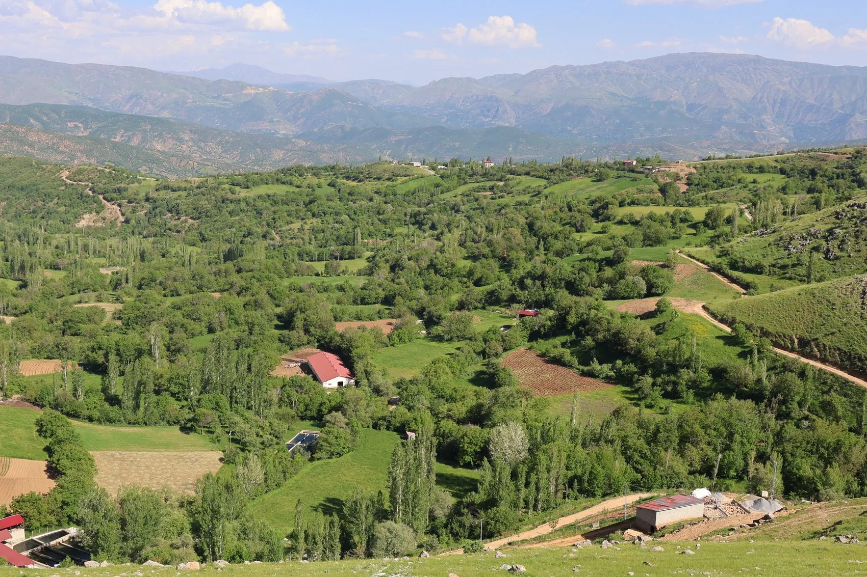 Bitlis Hizan doğa tutkunlarını sincaplarla karşılıyor