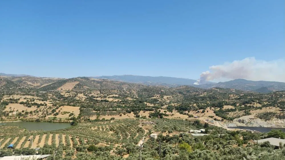 Çine ormanlarında korkutan dumanlar yükseliyor