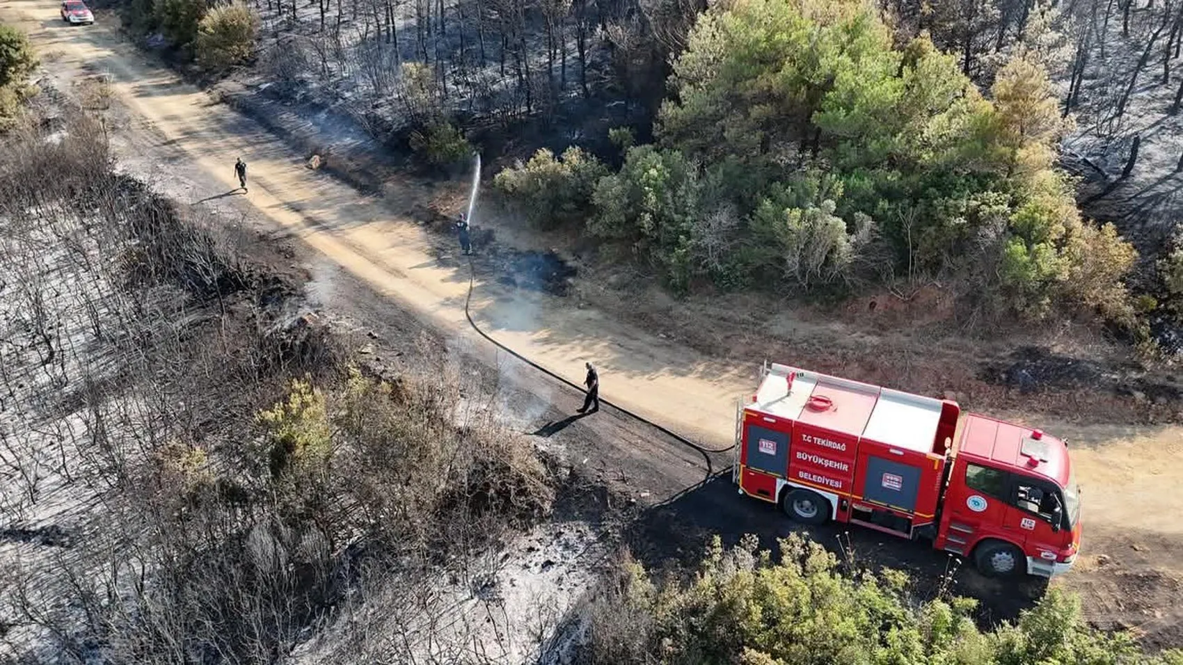 Malkara’daki orman yangını 80 dekar alanı küle çevirdi