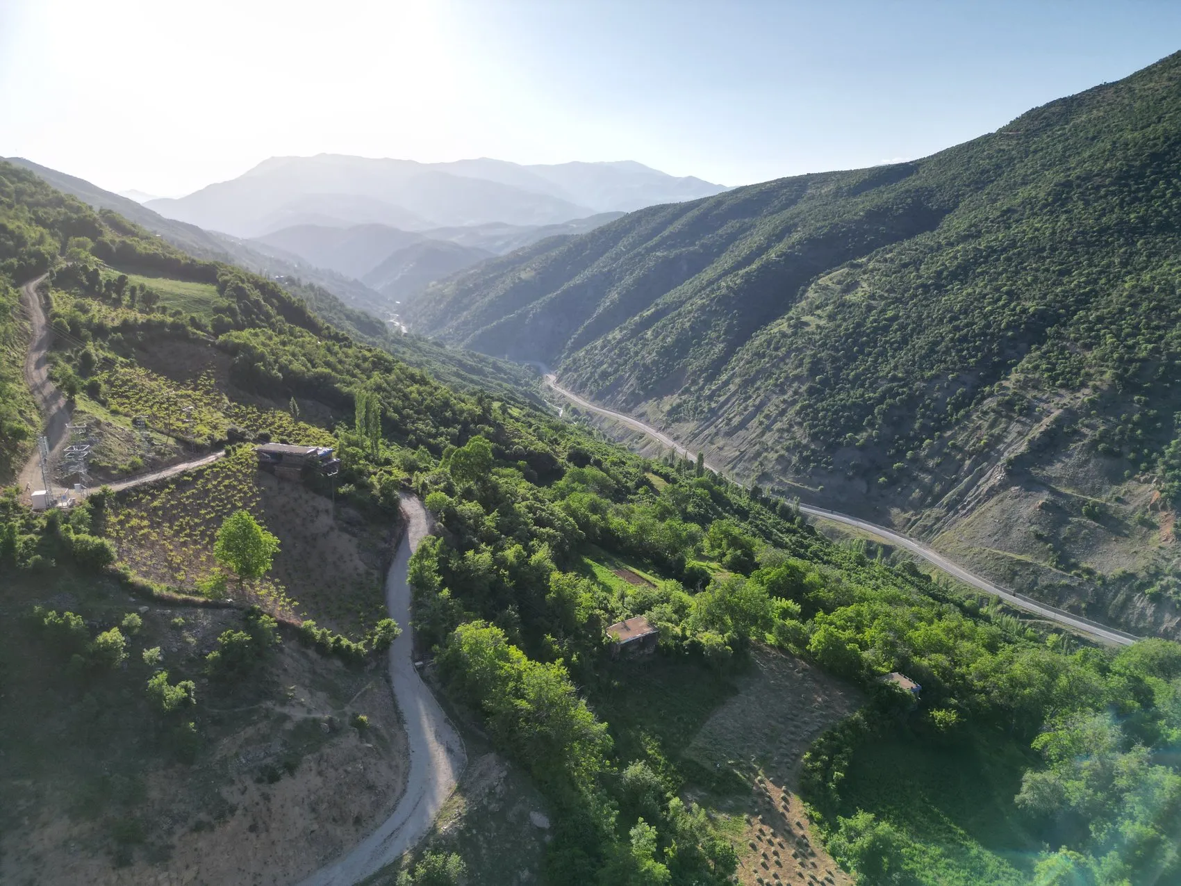 Bitlis Hizan doğa tutkunlarını sincaplarla karşılıyor