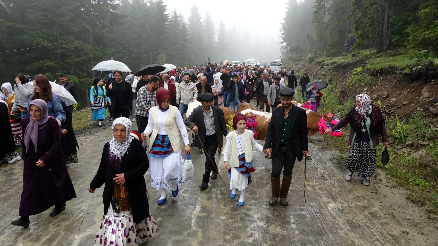 Trabzon'un yükseklerinde asırlık yayla göçü başladı