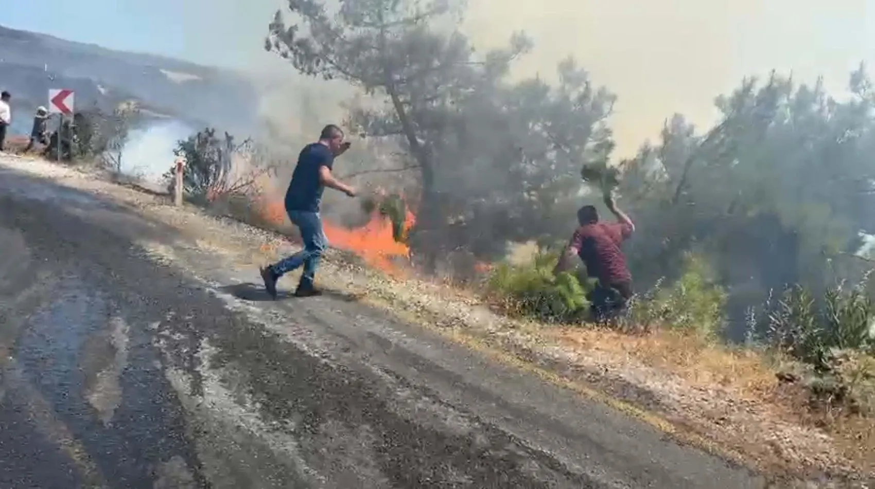 Aydın Çine’de orman yangını sürerken yürek yakan anlar yaşandı