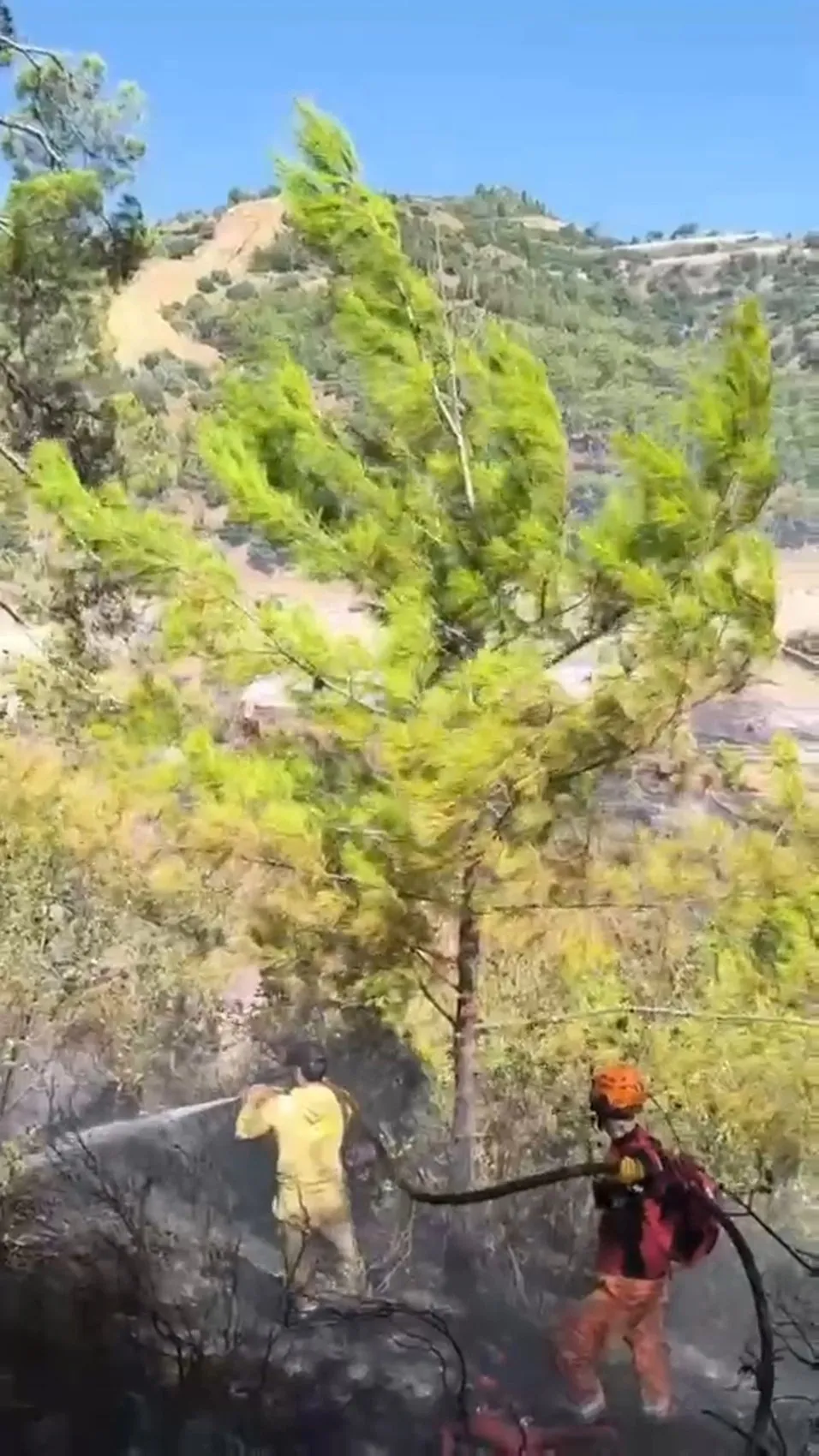 Antalya ormanları iki günde 12 farklı noktada alevlere teslim oldu