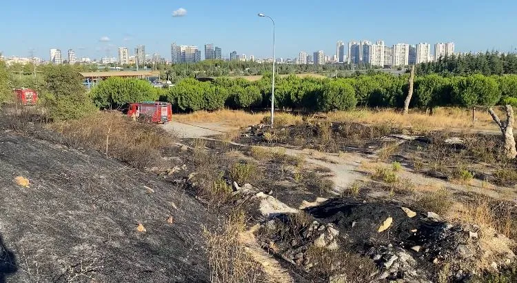 Başakşehir'de kuru otlar alevlere teslim oldu