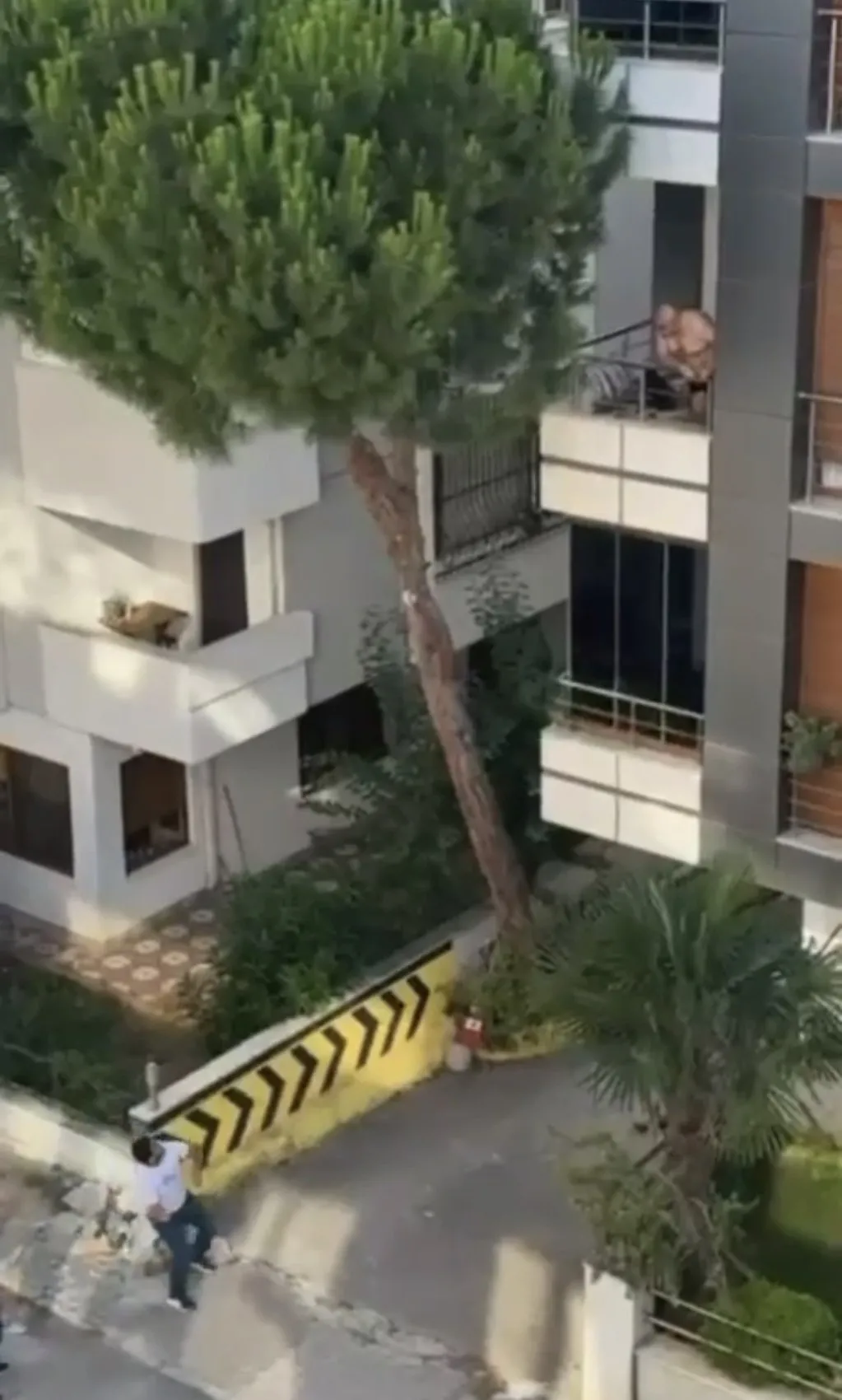 Maltepe'de mahalleli şiddet şüphesiyle sokağa döküldü