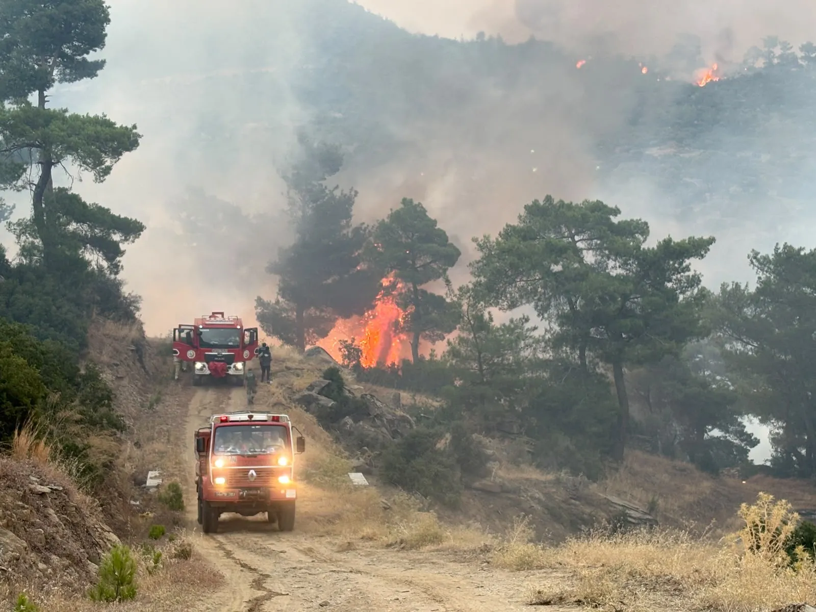 Aydın Çine orman yangınında havadan söndürme çalışmaları tekrar başladı