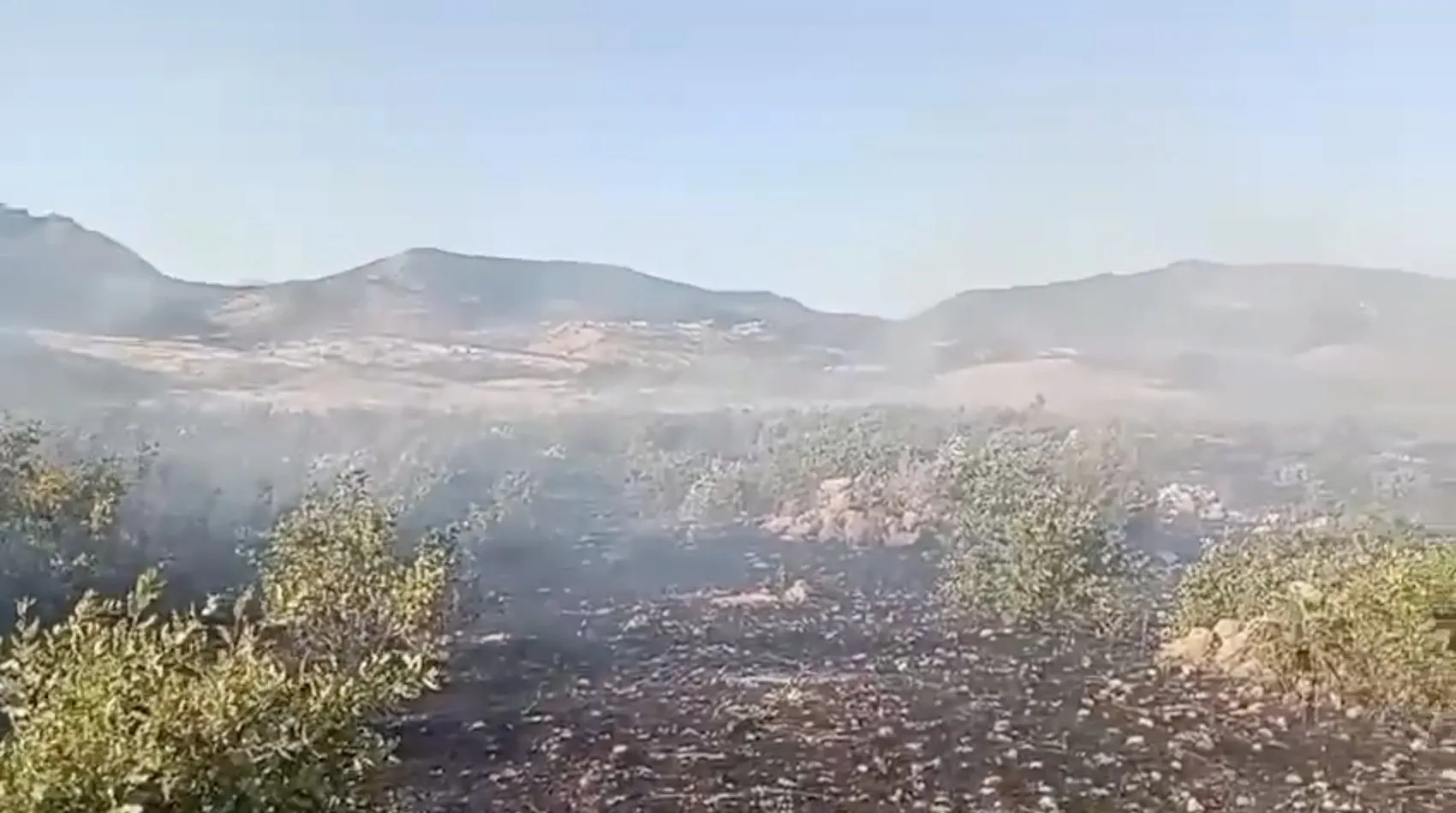 Dicle kırsalında alevler rüzgarla büyüdü