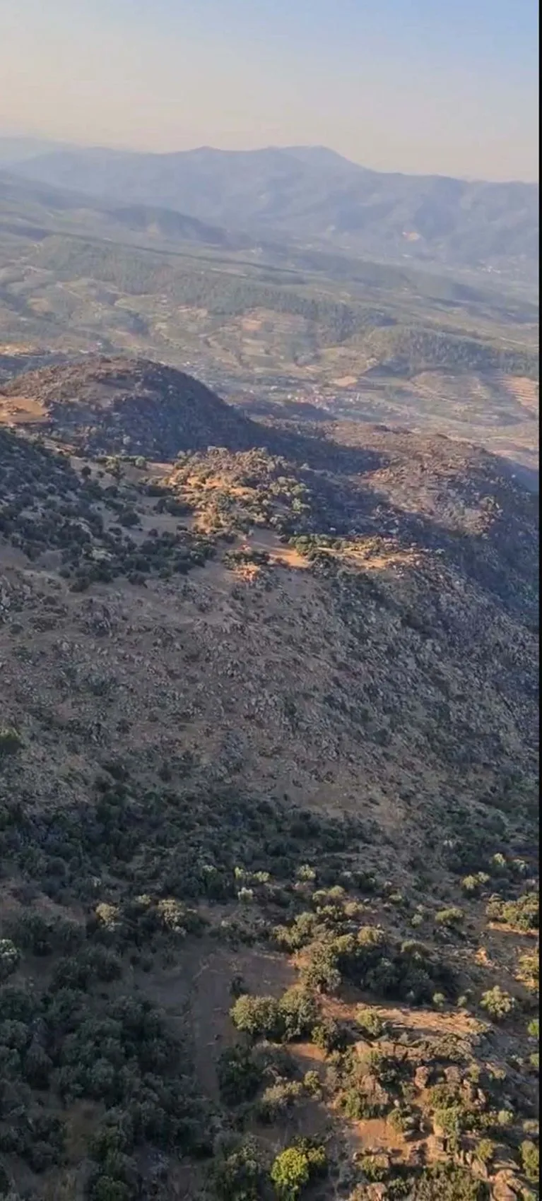 Bozdoğan’da zeytin bahçeleri küle döndü